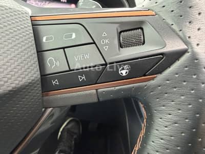 Cupra Formentor 2.0 TDI*4M*AUTO*PAN*VIR*LED*KAMERA*VOL — slika 14