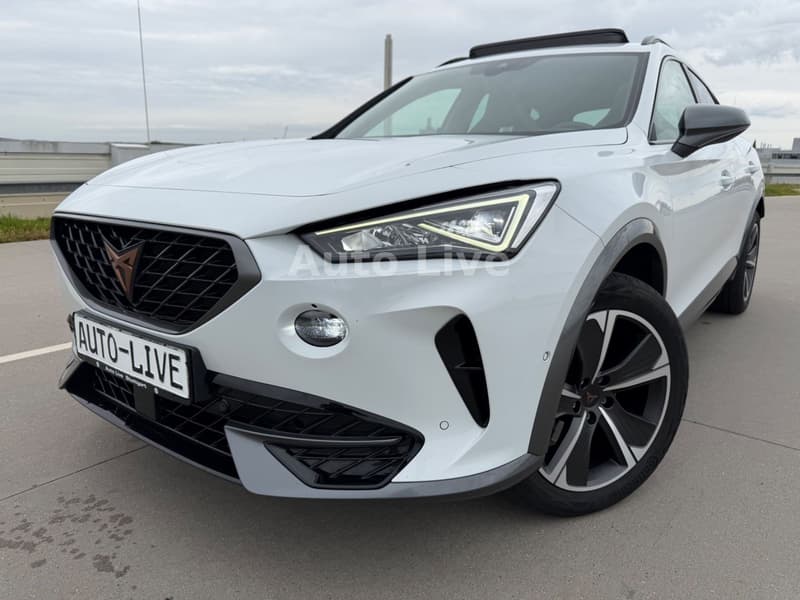 Cupra Formentor 2.0 TDI*4M*AUTO*PAN*VIR*LED*KAMERA*VOL