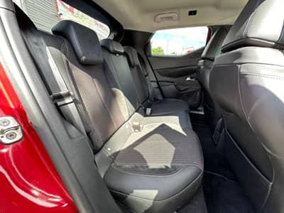 DS Automobiles DS3 Performance Line Matrix/PDC/Allwetter/Assist — slika 14